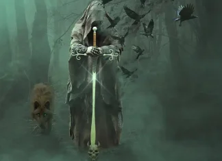 Compagno animale, breve guida per il Ranger 5e compagno animale, ranger