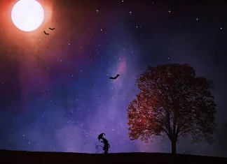 Tradizioni Arcane, breve guida alle Sottoclassi del Mago Tradizioni Arcane, breve guida alle Sottoclassi del Mago