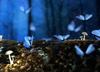 Il Circolo delle Spore, breve guida per il druido 5e circolo delle spore