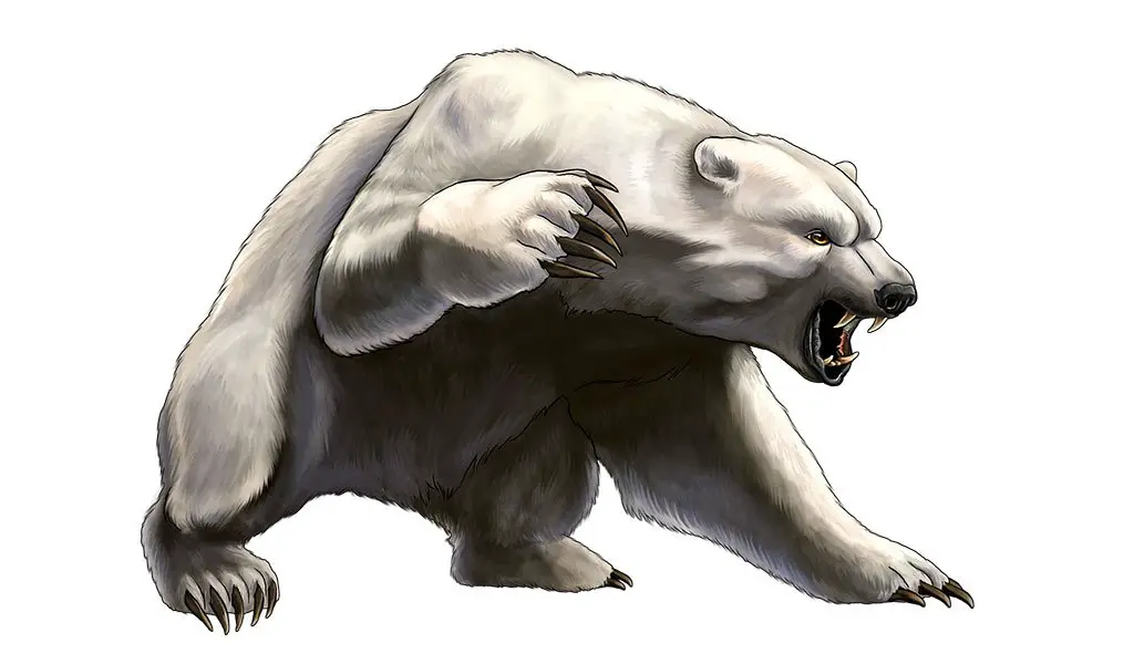 forma selvatica orso
