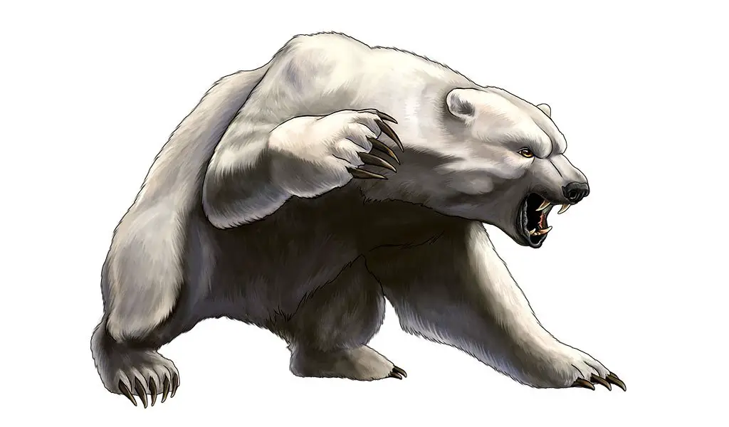 forma selvatica orso 