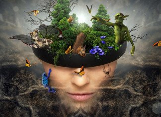 Fey Wanderer, la sottoclasse fatata del Ranger (Tasha 5e) fey wanderer ranger