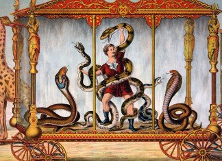 Muro di Forza, breve guida per maghi imprigionati (5e) muro di forza gabbia