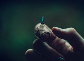 Swarmkeeper, per un Ranger che non ama gli insetticidi (Tasha 5e) Ranger Swarmkeeper