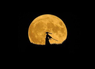 Barbaro basato su destrezza, breve guida per leggiadri avventurieri