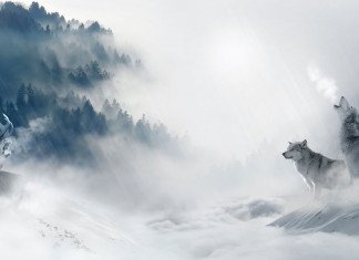 Incantesimi per Evocare Creature: breve guida alla scelta (5e) incantesimi per evocare