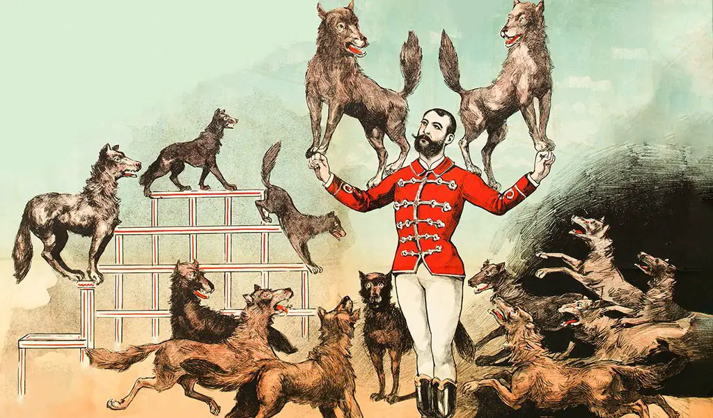 circo