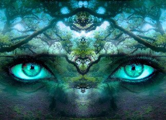 Percezione Passiva, breve guida all’uso per avventurieri vigili (D&D5e) percezione passiva