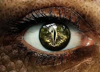 Tratti Dragonici, le nuove discendenze contenute in Fizban (5e) Tratti Dragonici