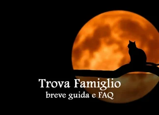 Trova Famiglio, guida all’incantesimo per novelli incantatori (D&D 5e) trova famiglio