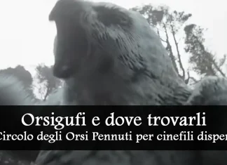 Orsogufo: il Circolo degli Orsi Pennuti per cinefili disperati Orsogufo: il Circolo degli Orsi Pennuti